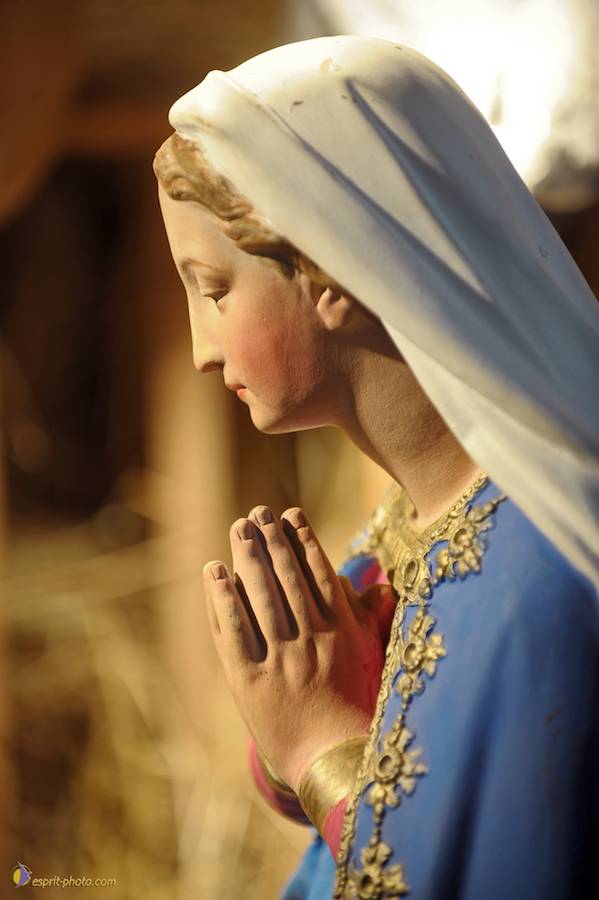 Nom de l'image : D30043110_1_(c)Norbert-JUNG — Description :